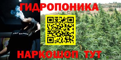 мдпв Ярцево