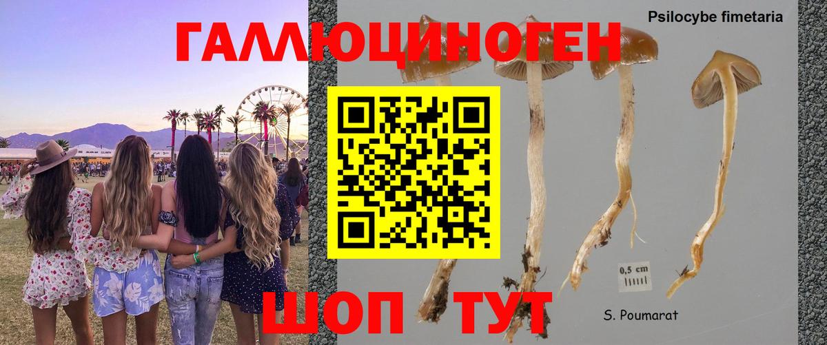Псилоцибиновые грибы ЛСД  Галлюциногенные грибы Magic Shrooms  Брянск  Вход с VPN 
